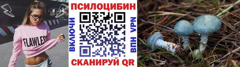 Галлюциногенные грибы Psilocybe  цены наркотик  Заозёрск 
